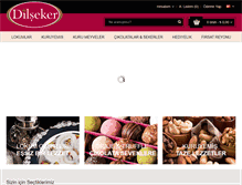 Tablet Screenshot of dilseker.com